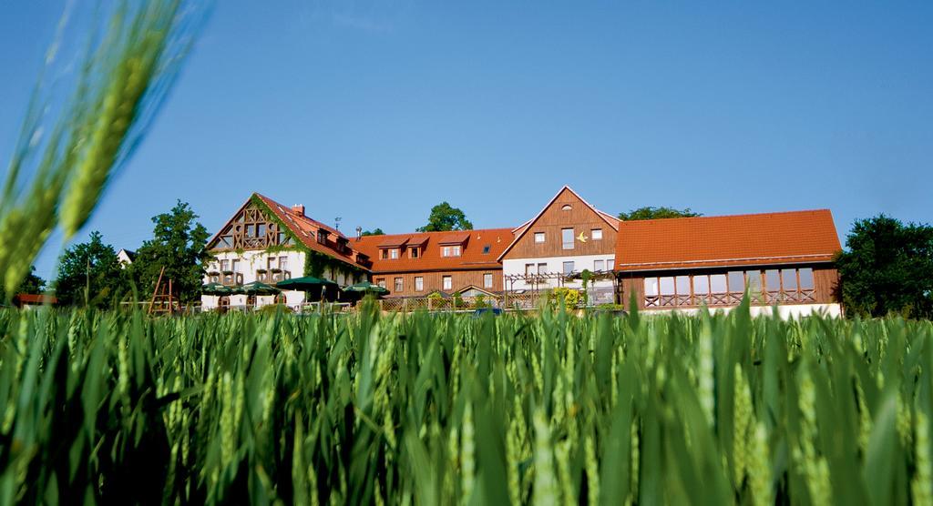 Hotel Neue Hoehe Klingenberg المظهر الخارجي الصورة